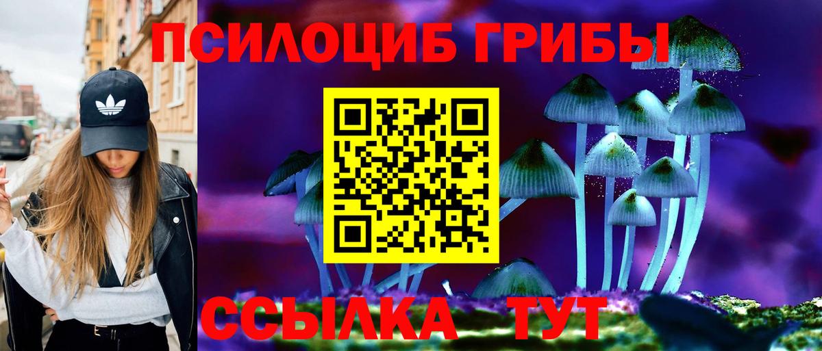 Коломна  Псилоцибиновые грибы мухоморы  Вход с VPN 