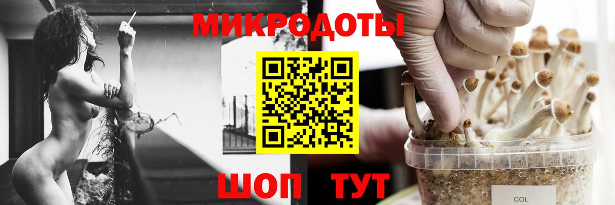 Псилоцибиновые грибы прущие грибы Коломна
